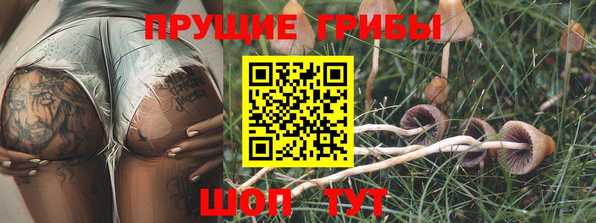 Псилоцибиновые грибы мухоморы Михайловск